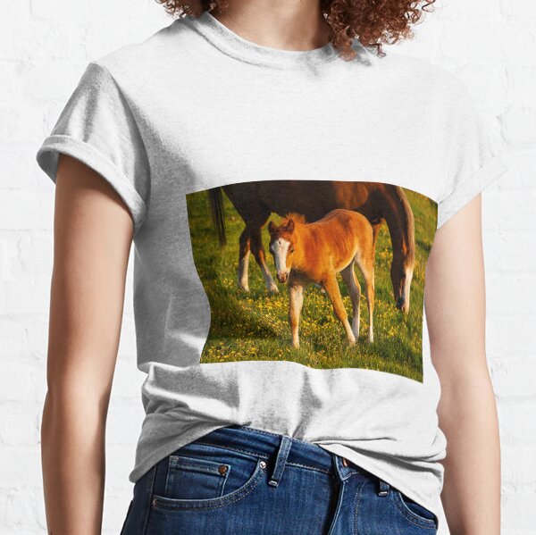 baby horse and mother Classic T-Shirt