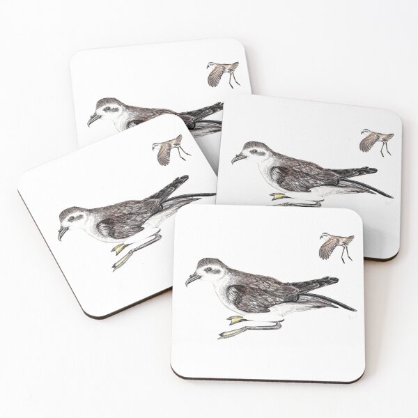 Item preview, White-faced Storm-petrel  designed and sold by chloeyzoard.
