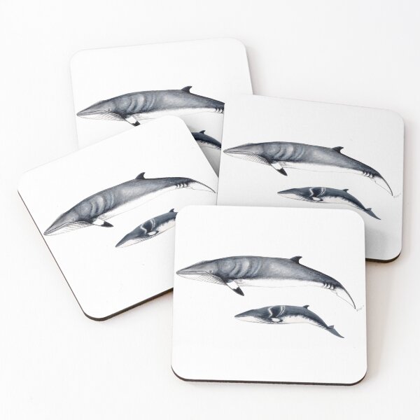 Item preview, Minke whale designed and sold by chloeyzoard.