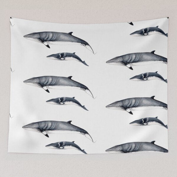Item preview, Minke whale designed and sold by chloeyzoard.