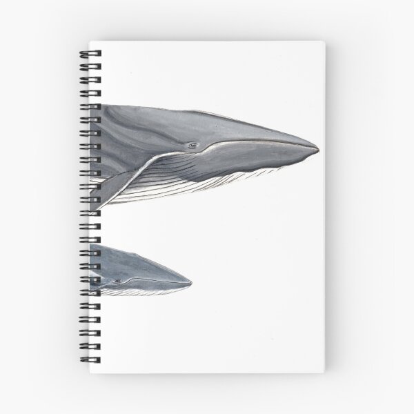 Item preview, Fin whale with calf designed and sold by chloeyzoard.