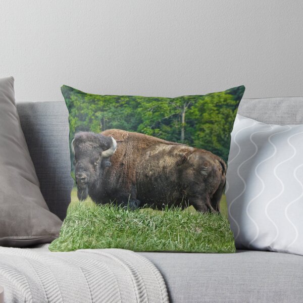 Aperçu de l'œuvre Buffalo Liepers Fork créée et vendue par DriveModern.