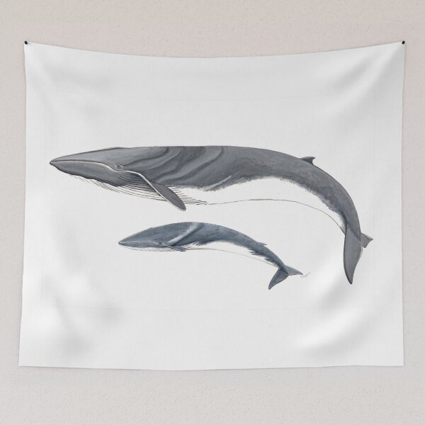 Item preview, Fin whale with calf designed and sold by chloeyzoard.