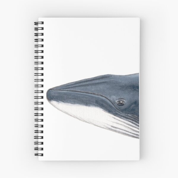 Item preview, Bryde´s whale baby designed and sold by chloeyzoard.