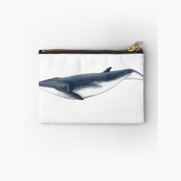 Item preview, Bryde´s whale baby designed and sold by chloeyzoard.