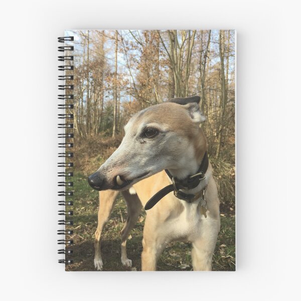 Item preview, Jasper the Snaggle  designed and sold by Greys-Menagerie.