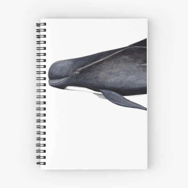 Item preview, Long-finned pilot whale designed and sold by chloeyzoard.