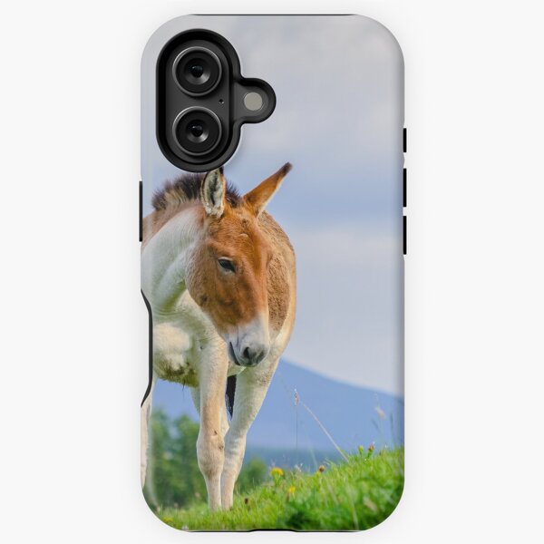 Aperçu de l'œuvre Un poney sauvage asiatique se tenant sur une colline créée et vendue par Logopad.