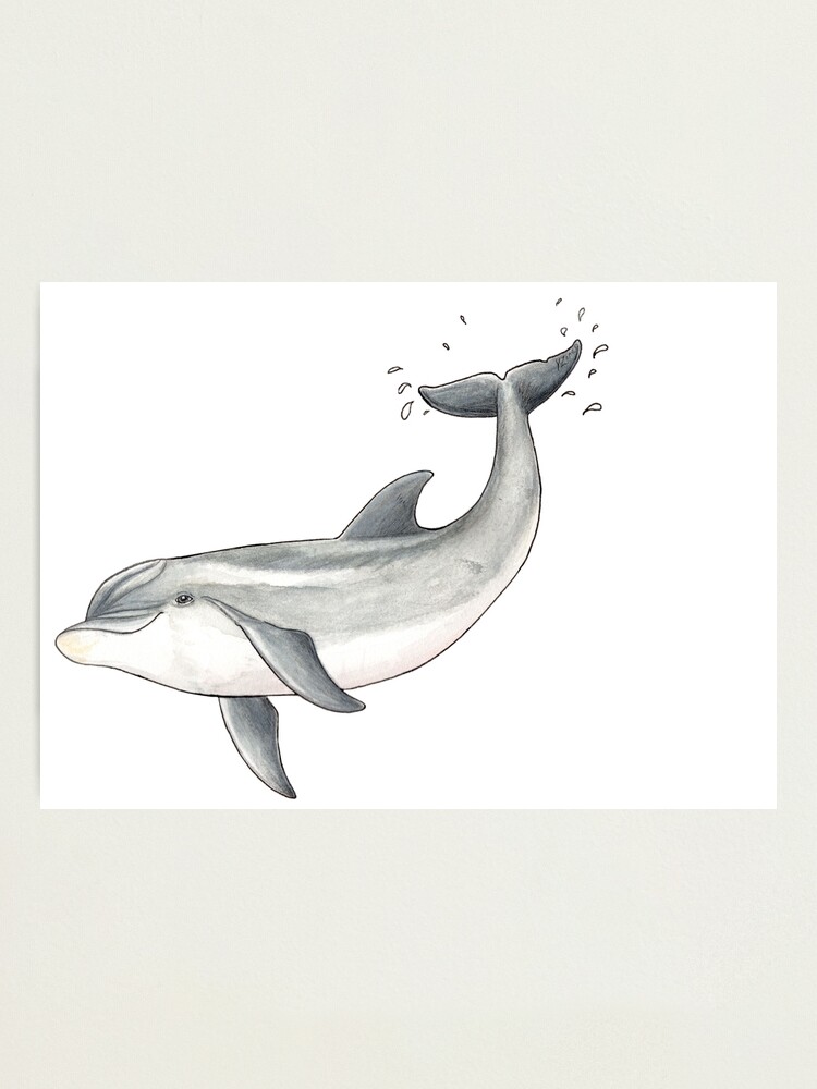 Impression Photo Bebe Dauphin A Gros Nez Par Chloeyzoard Redbubble
