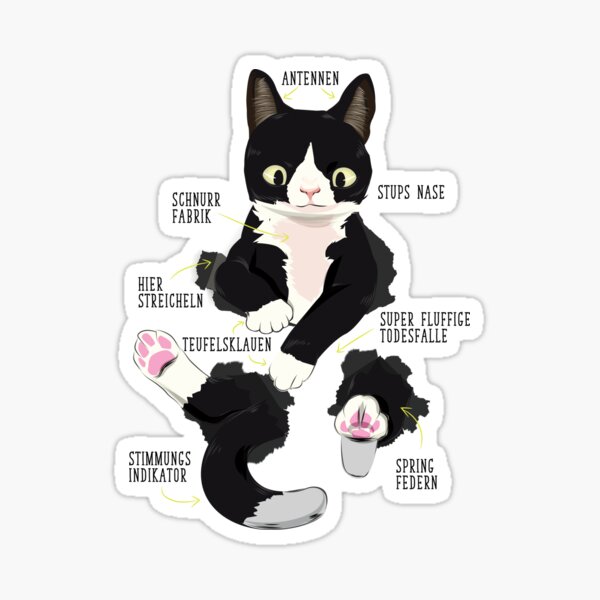 Artikel-Vorschau von Katze Kätzchen Kater Mieze, designt und verkauft von alexngn.