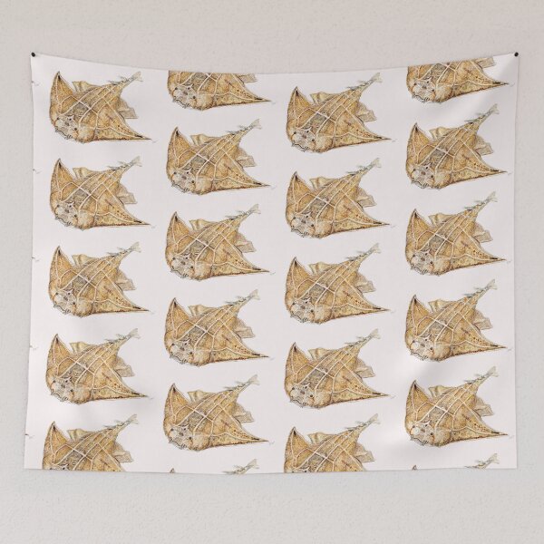 Item preview, Angel shark  designed and sold by chloeyzoard.