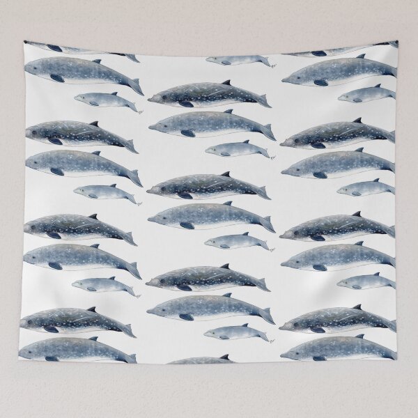 Item preview, Blainville´s Beaked whale designed and sold by chloeyzoard.