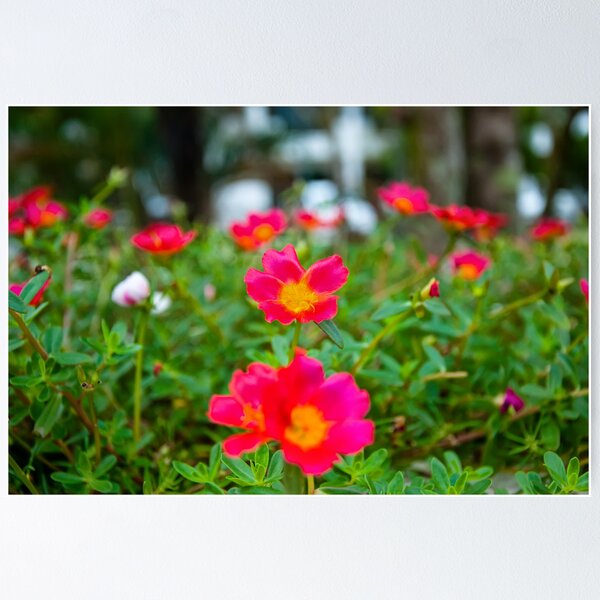 Item preview, It's Red designed and sold by artz-one.