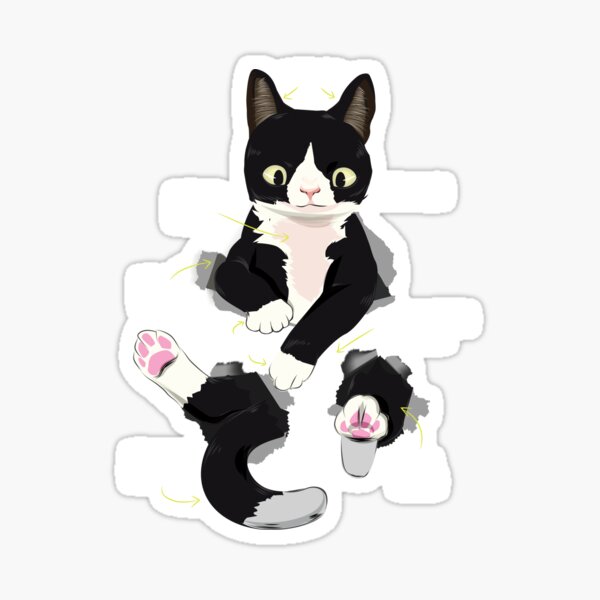 Artikel-Vorschau von Katze Kätzchen Kater Mieze, designt und verkauft von alexngn.