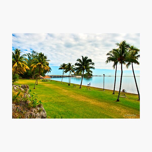 Alice Wainwright Park Photographic Print