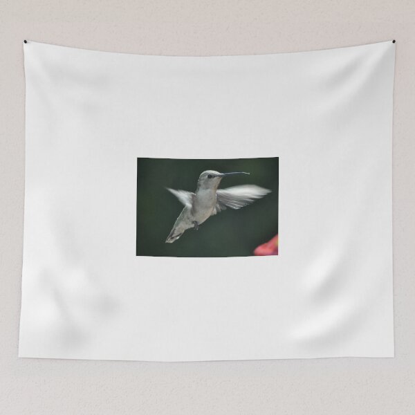 Item preview, HUMMINGBIRD GOING TO FEEDER designed and sold by JAYMILO.