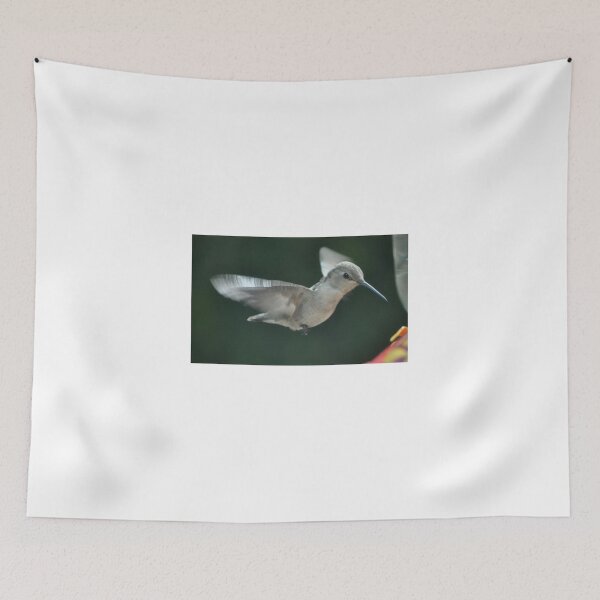 Item preview, HUMMINGBIRD GOING TO FEEDER designed and sold by JAYMILO.