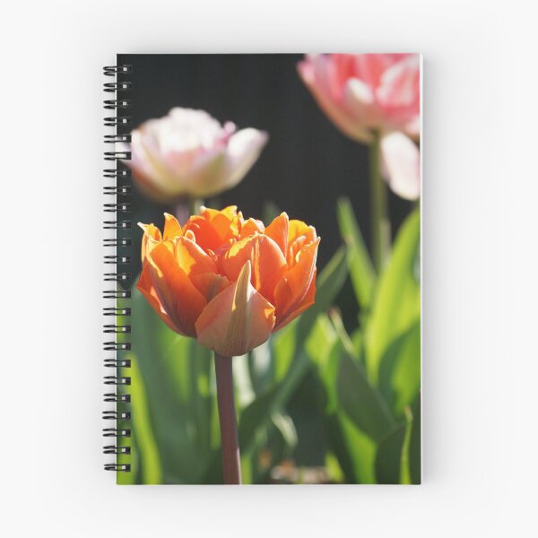 Item preview, Tulip designed and sold by Kit-Jenn.