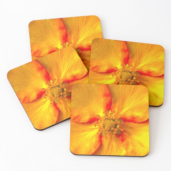 Item preview, Yellow Flower Closeup  designed and sold by Sweetairhead.