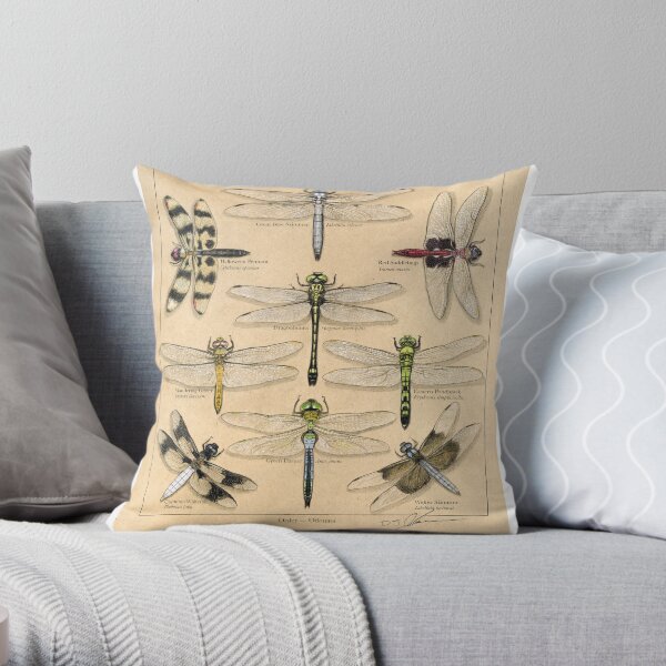 Odonate Plate Illustration Throw Pillow