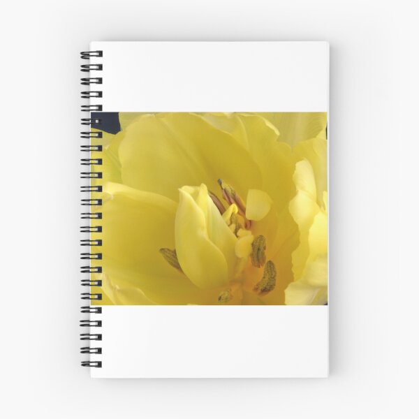 Item preview, Tulip's Heart designed and sold by SmoothBreeze7 | Liz Collet Photography.
