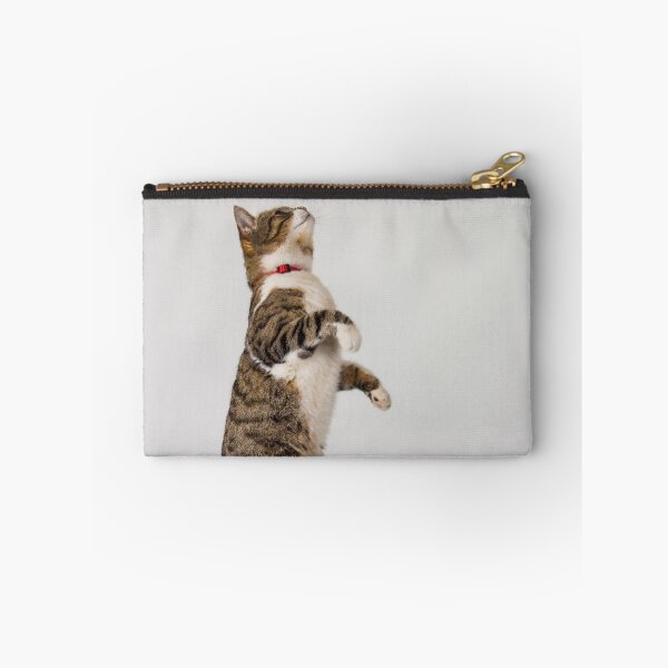 Item preview, active cat playing designed and sold by 1STunningART.