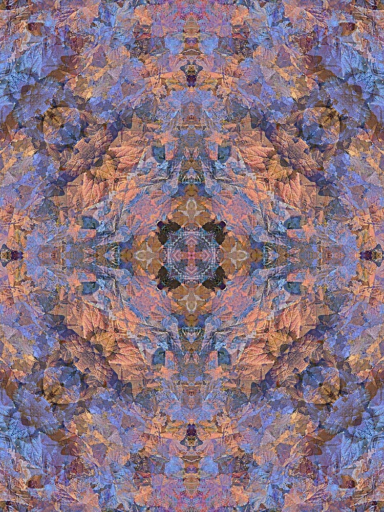 MAGIC THIMBLE BERRY ORANGE AND BLUE PATTERN by JeffBossler