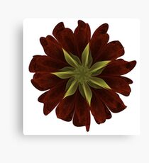 Fractal Flower Canvas Print