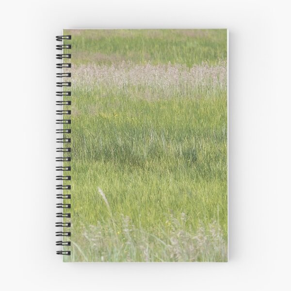 Item preview, Young Brown Bear Cubs designed and sold by Belinda Greb Photography.