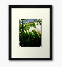 Flowers Framed Print