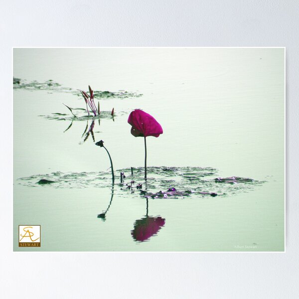 Item preview, Marooned designed and sold by AlbertStewart.