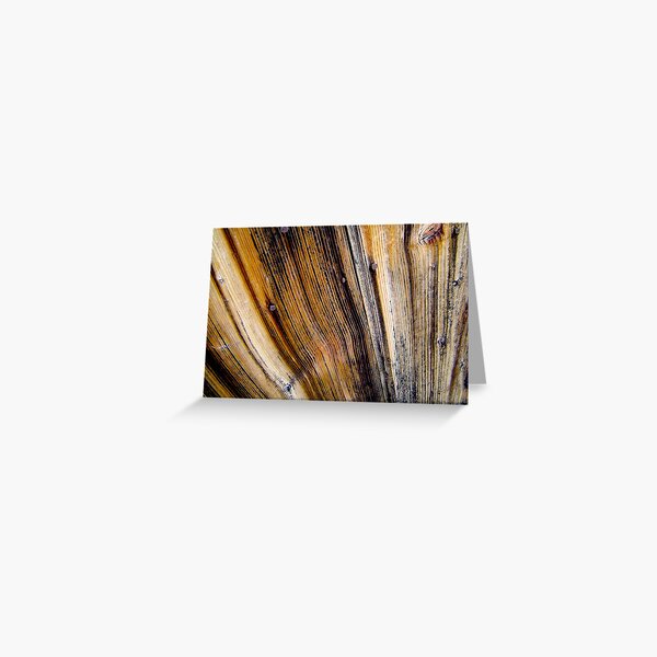 door wood Greeting Card