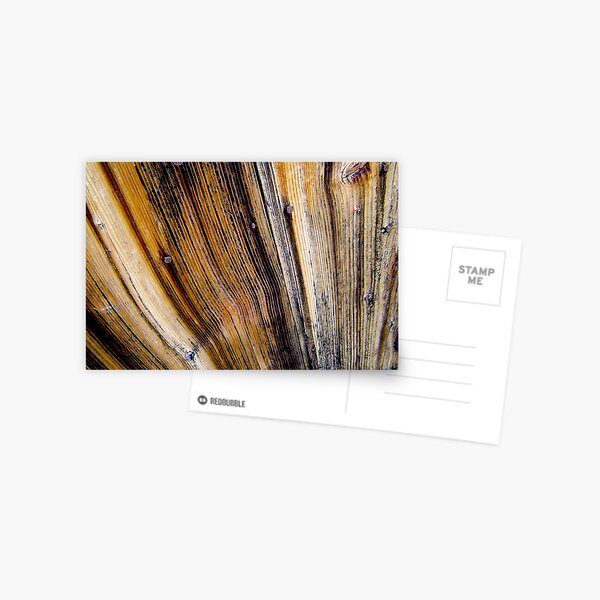 door wood Postcard