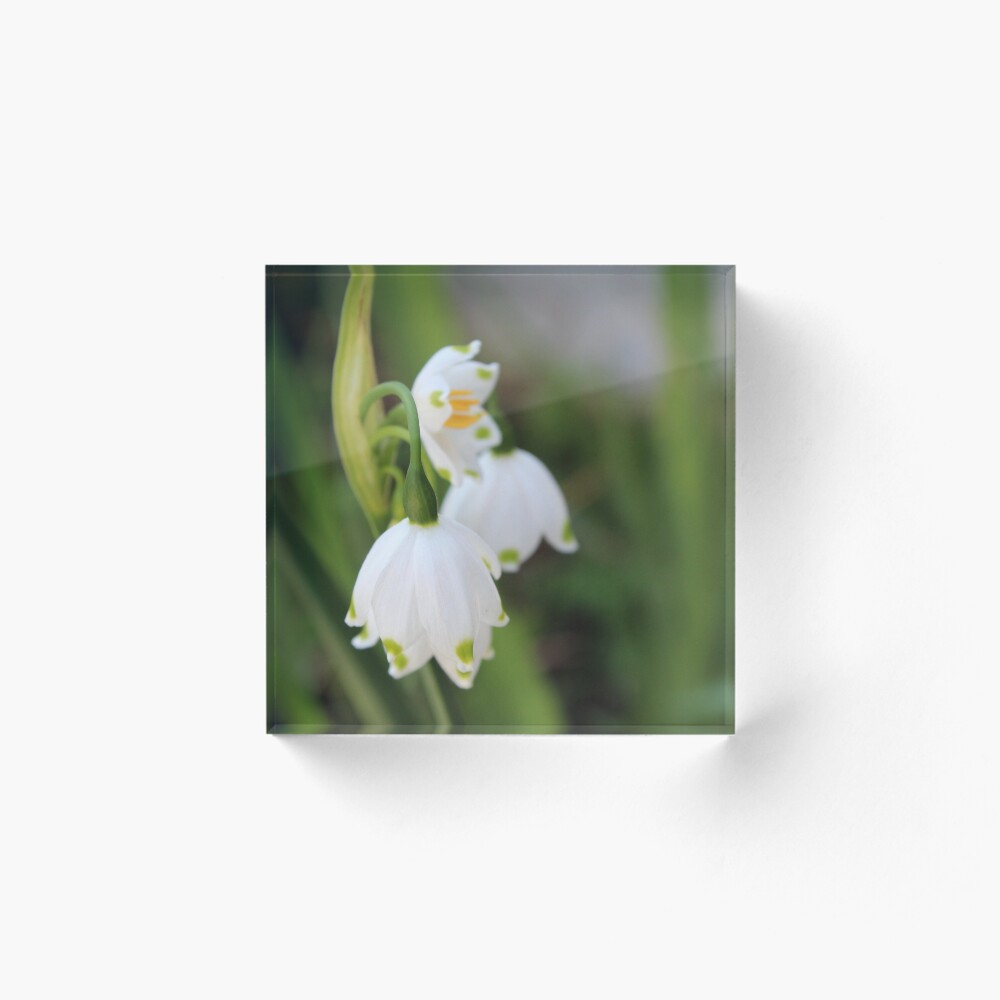 Item preview, Acrylic Block designed and sold by AthenaAPhoto.