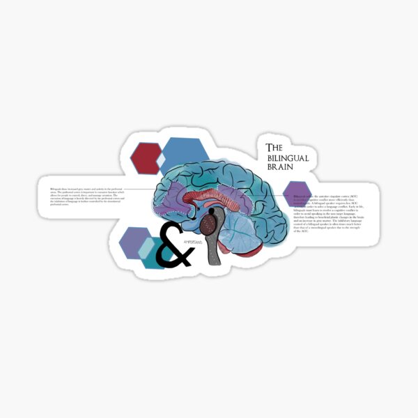 The bilingual brain Sticker