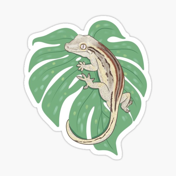 Gecko lizard cottagecore Sticker – VulgrCo