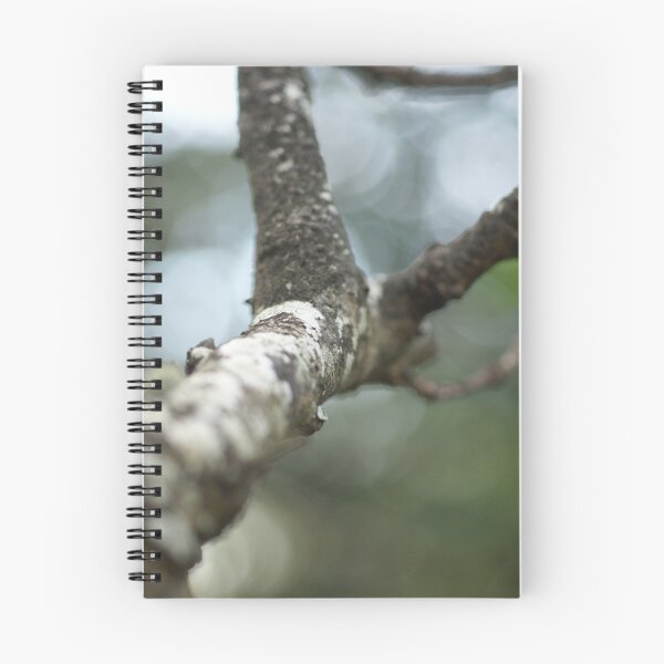 Item preview, Meet Me In The Dappled DARKLIGHT... designed and sold by Michelle Lee Blatt.