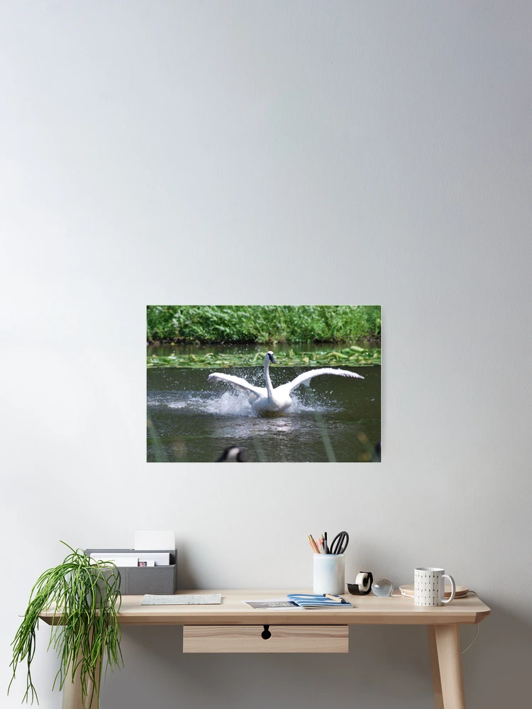 Thumbnail 2 of 3, Poster, Splash designed and sold by John Easterhouse.