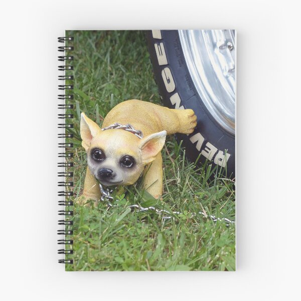 Item preview, Whiz Kid designed and sold by Frankie Cat Photography.