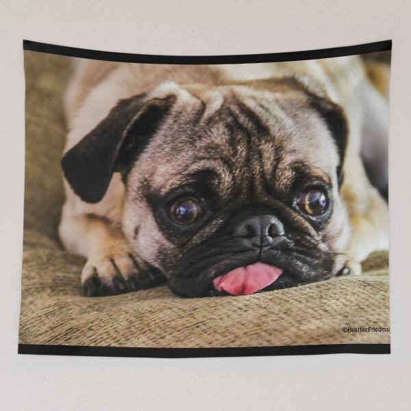 Item preview, Oh No! Income Tax Time Again! designed and sold by heatherfriedman.