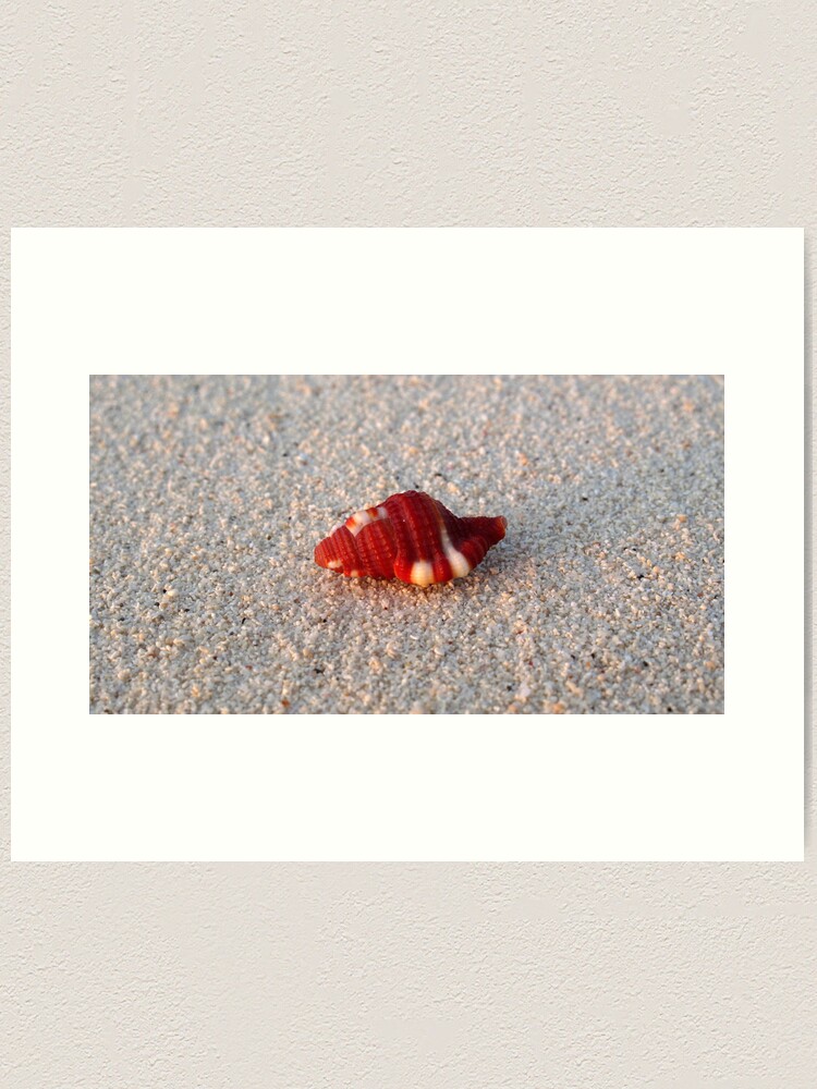 Alternate view of Perfection in Miniature Art Print