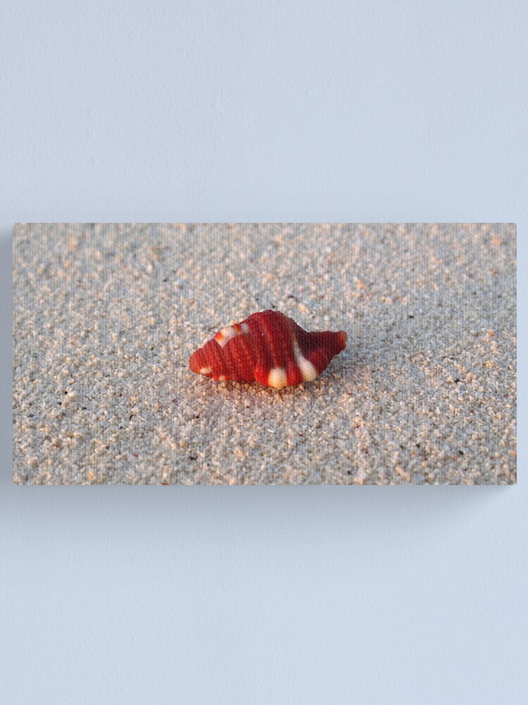 Alternate view of Perfection in Miniature Canvas Print