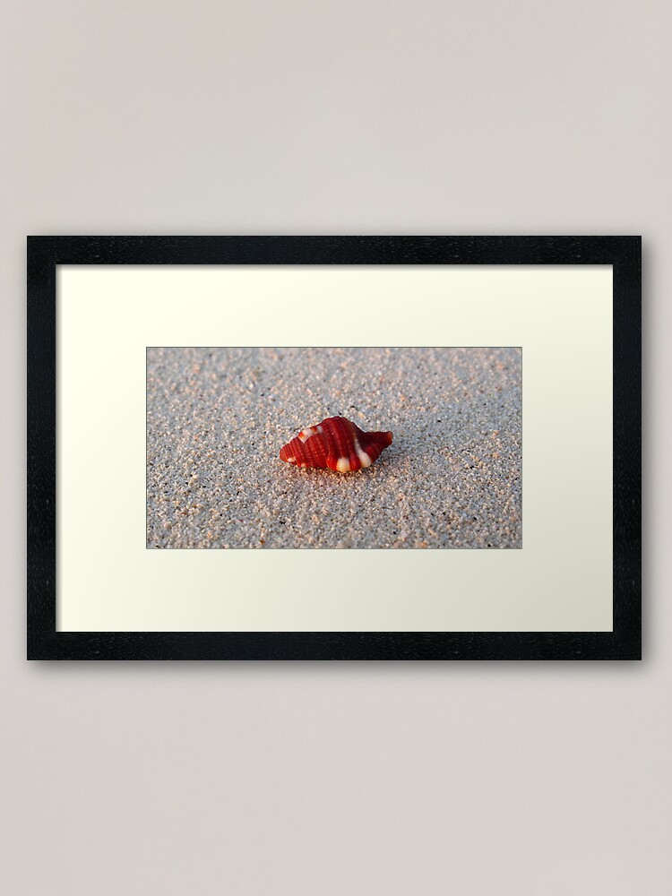 Alternate view of Perfection in Miniature Framed Art Print