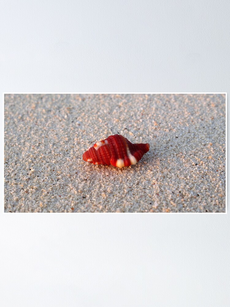 Alternate view of Perfection in Miniature Poster