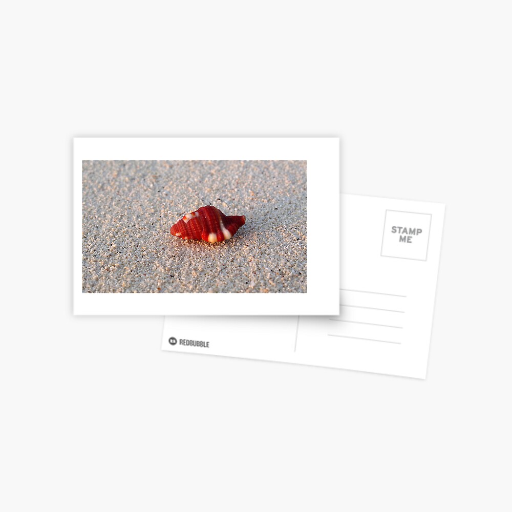 Perfection in Miniature Postcard