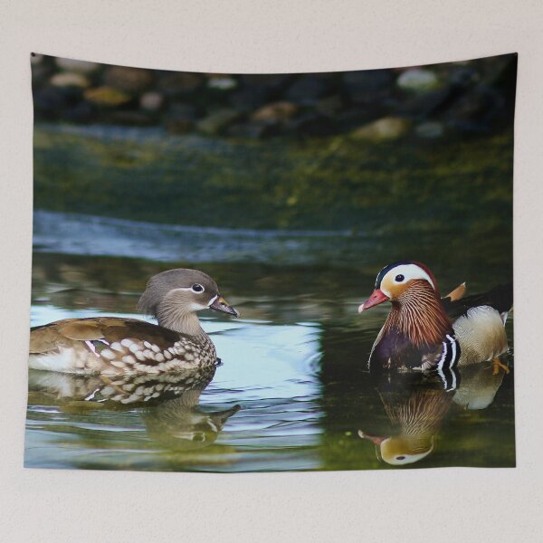 Item preview, Ducks, animals designed and sold by laura-S.