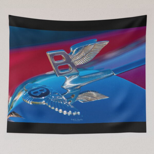 Item preview, Flying B designed and sold by Hawley Designs.