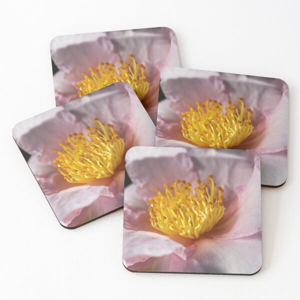 Item preview, Winters Camellia designed and sold by Joy Watson - Natural Light Photography .