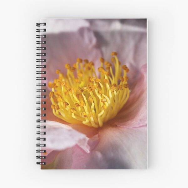 Item preview, Winters Camellia designed and sold by Joy Watson - Natural Light Photography .