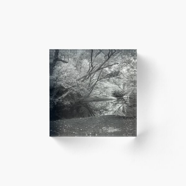 Reflecting infrared Acrylic Block